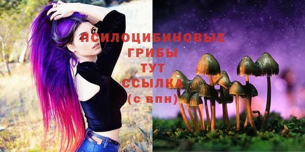 марки lsd Краснослободск