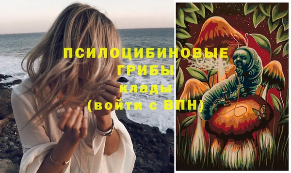 марки lsd Краснослободск