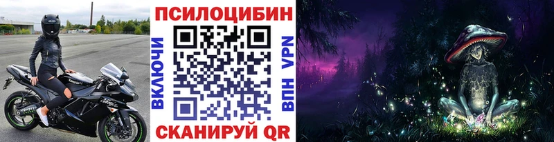 Купить  Ахтырский  Псилоцибиновые грибы GOLDEN TEACHER 